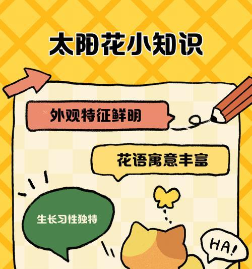 太阳花的寓意是什么？它有哪些背景故事？