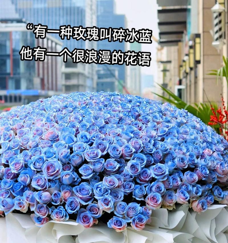 浪漫花语有哪些？简单浪漫花语大全是什么？
