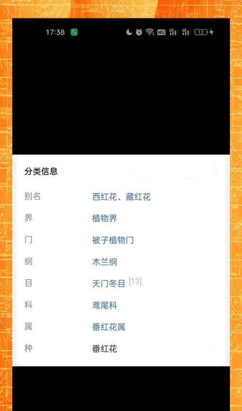 “请你快乐”花语是什么意思？如何表达快乐的花语？