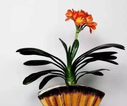 白色花项链的寓意是什么？它通常象征着什么？