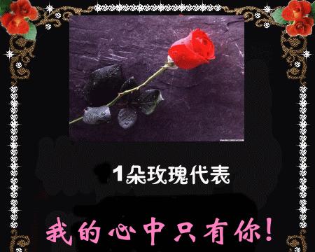 花腰傣族用哪种植物象征爱情？它的花语是什么？