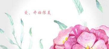 哪种花用水彩表现爱情？