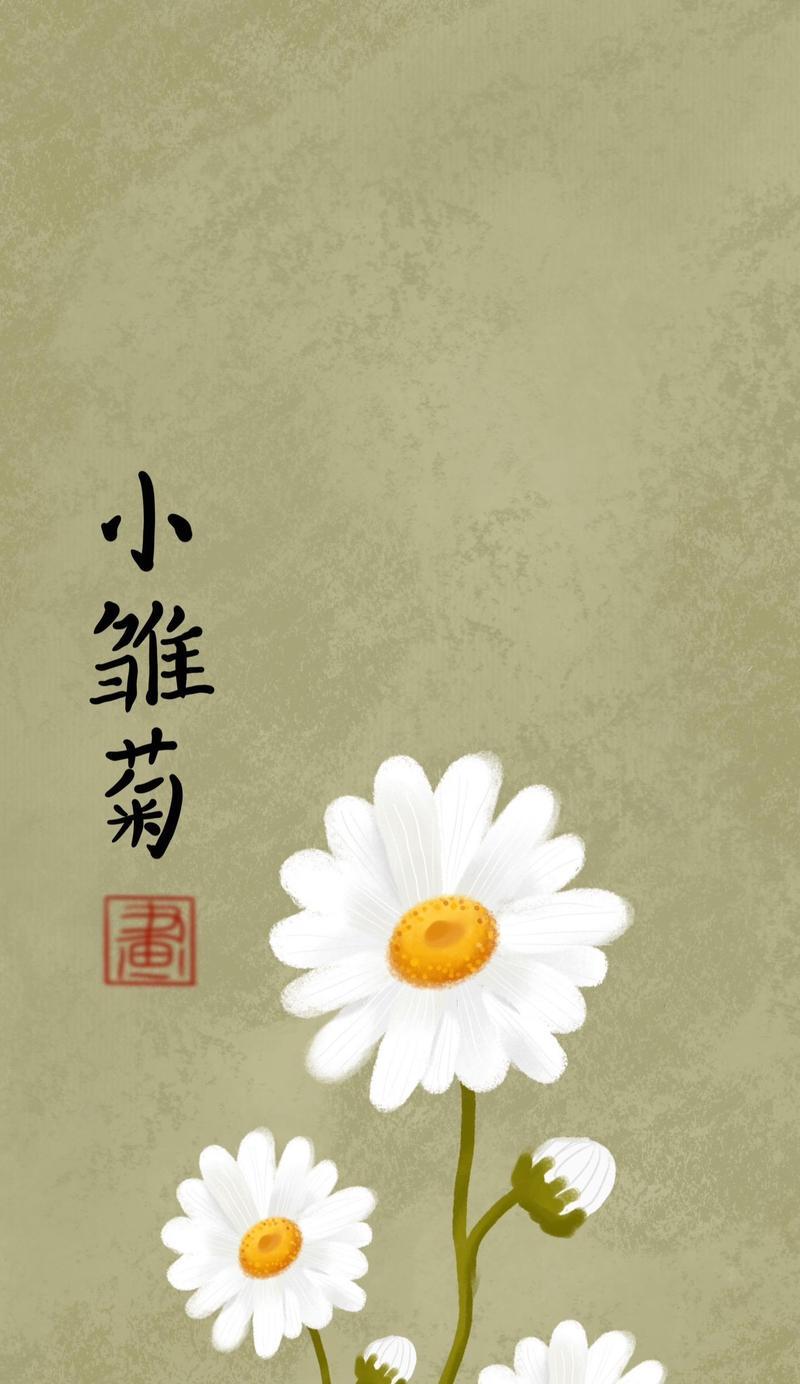 白色花的生日花语是什么？