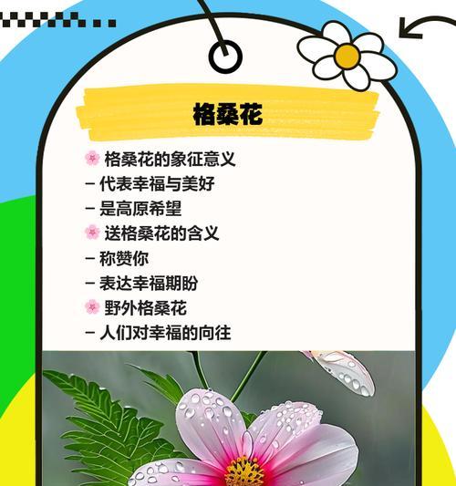 象征幸福的花教案怎么做？有哪些步骤？