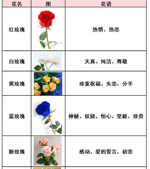 花语和颜色之间有什么联系？不同颜色的花语分别是什么？
