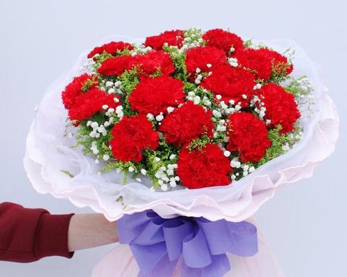 雪蓝花的颜色代表什么？花语和寓意是什么？