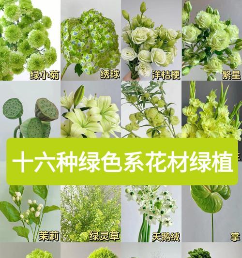 哪些花材具有爱情的寓意？