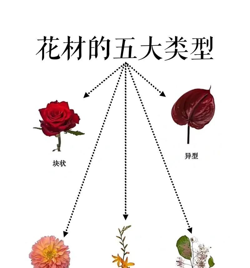 哪些花材具有爱情的寓意？