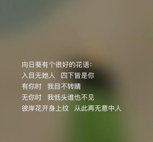 浪漫花语游戏怎么玩？有哪些有趣的花语组合？