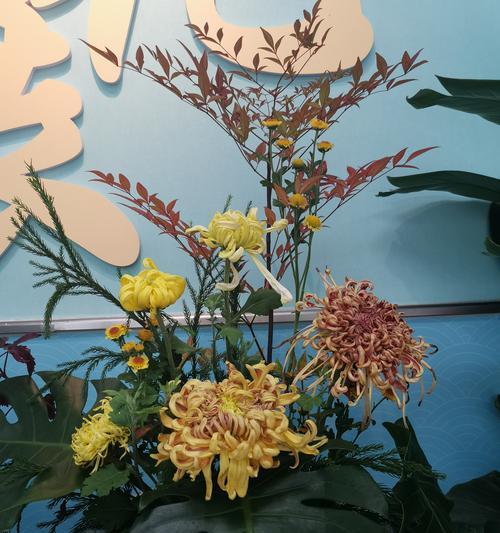 象征着中秋节的花是什么？中秋节送什么花最合适？