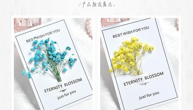 道具花语在不同季节有何变化？