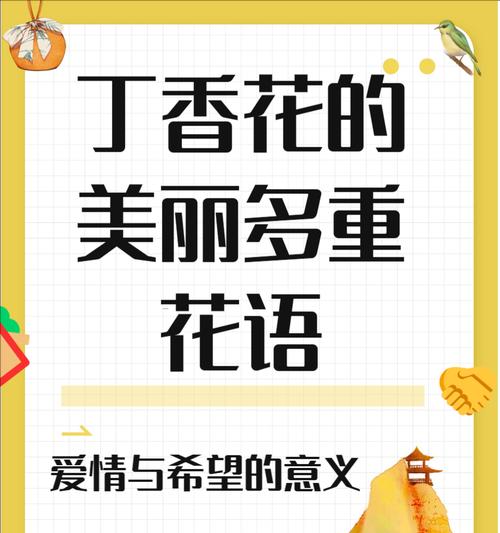 浪漫花语花圈如何选择？花圈中的花语有哪些？