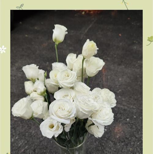 六朵白色桔梗花的寓意是什么？