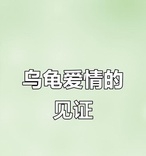 送龟代表什么寓意的爱情的花？送龟寓意爱情的花是什么？