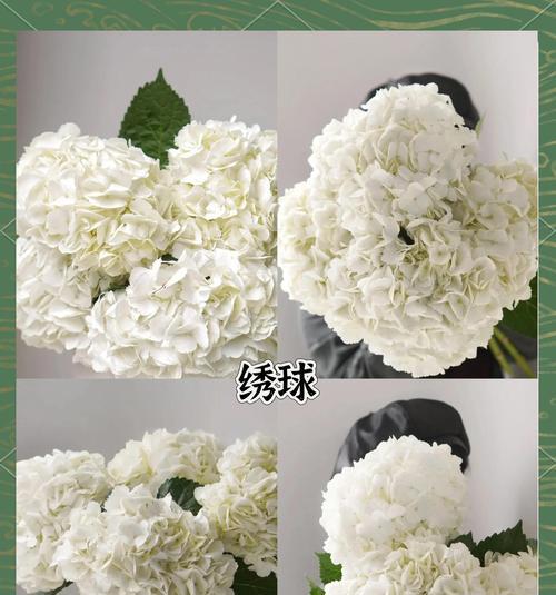 白色花系有哪些寓意？白色花象征着什么？