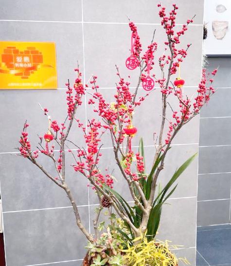 过节时寓意好的花有哪些？它们各自代表什么？