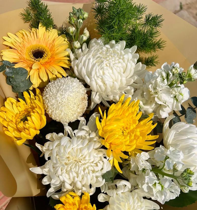 清明节通常用什么花来寓意？清明节花卉的象征意义是什么？