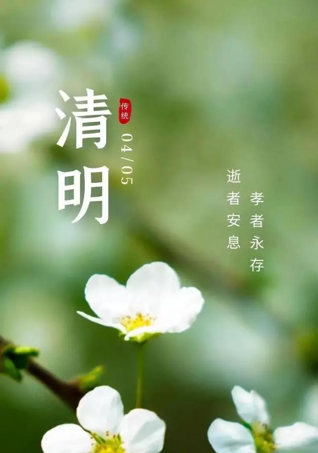 清明节通常用什么花来寓意？清明节花卉的象征意义是什么？