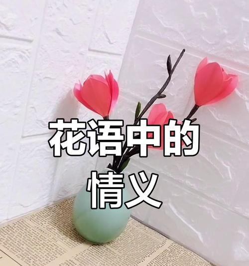 哪些花象征幸福和忠诚？感恩的花有哪些？