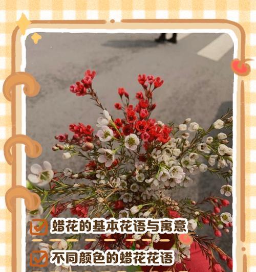 花语的起源有哪些传说？