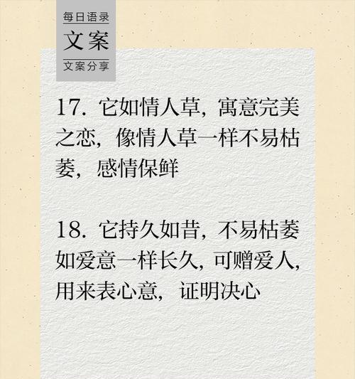 情人草为何象征爱情？