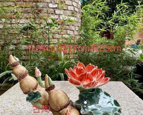 什么花寓意高升？高升花的含义是什么？