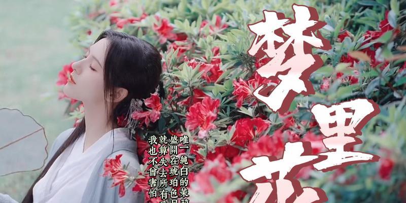 琥珀色的花有什么含义嘛？它代表了什么？
