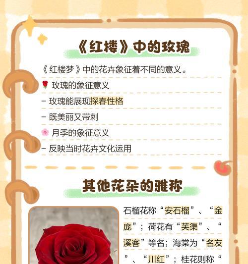 浪漫玫瑰花代表什么？送玫瑰花的含义是什么？