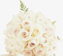 白色玫瑰花代表什么意义？送手捧玫瑰花的寓意是什么？