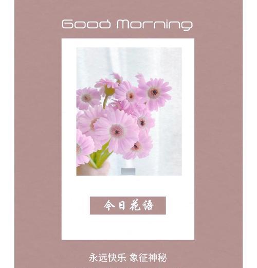 人生如意花语是什么？它代表了哪些寓意？