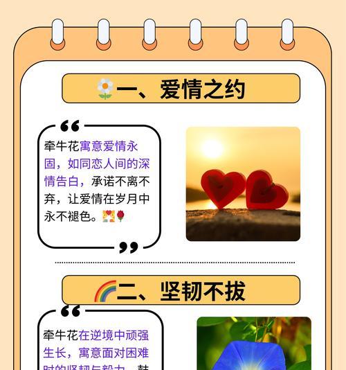 哪些花的花语寓意平安健康？