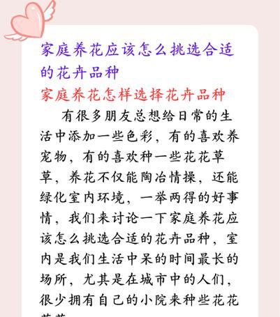 传统花有哪些寓意？如何根据场合选择合适的花卉？