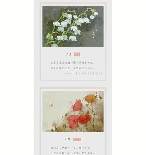 传统花有哪些寓意？如何根据场合选择合适的花卉？