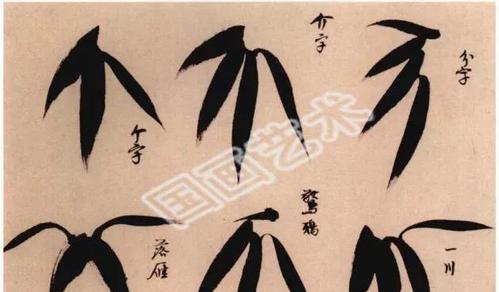 流星花语竹节的寓意是什么？