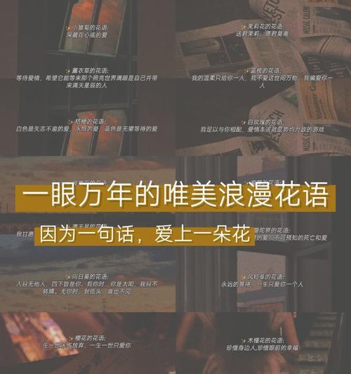 哪里可以找到每日浪漫花语？浪漫花语大全哪里有？