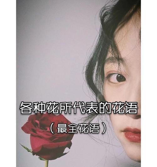 哪些花寓意浪漫？它们在花语中代表什么？