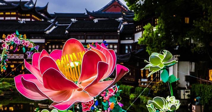 花朝节十二花各自有什么花语？
