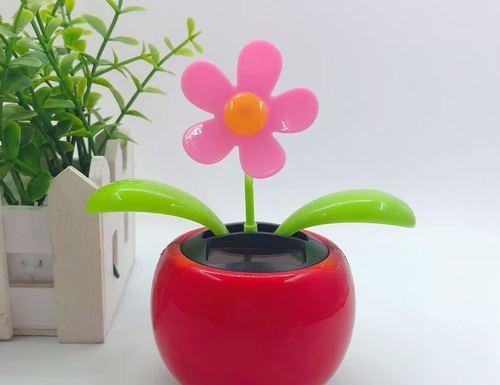 红色太阳花的意义是什么？