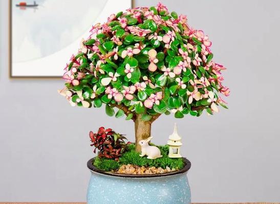 寓意好运的植物——给生活增添幸福与繁荣（传承吉祥文化）