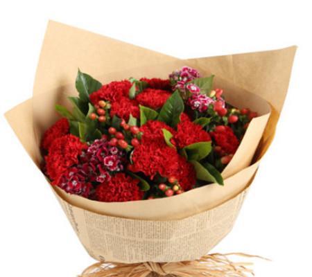 红色康乃馨的花语与意义（红色康乃馨）