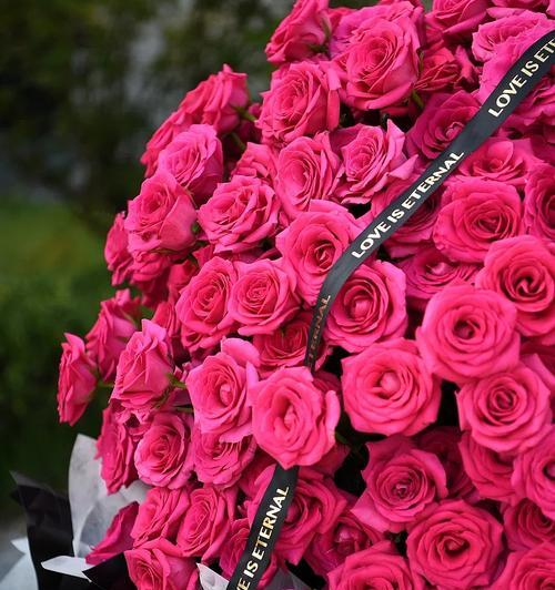 11朵花语的神秘暗示（以花为语）