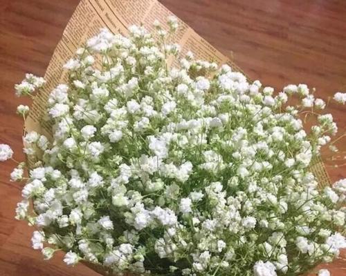 吉普赛满天星花的美丽与神秘（揭开吉普赛满天星花的花语之谜）