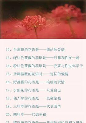 鸽子花的花语之美（探寻鸽子花的花语）