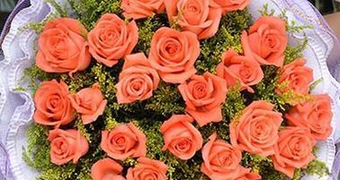 玫瑰之意（探寻玫瑰的文化内涵和象征意义）