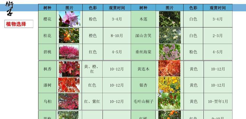 五色梅喜阴还是喜阳（探究五色梅的生长环境需求）